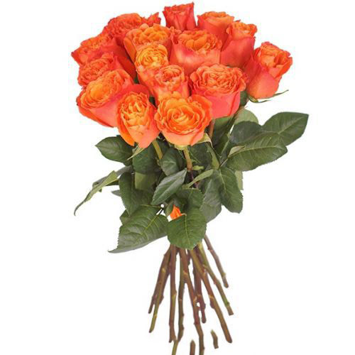 Купить букет из 15-ти оранжевых роз с доставкой по Бикину